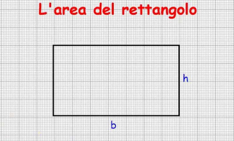 Area_rettangolo.jpg