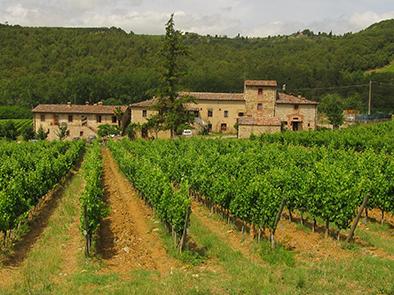 Colline_del_Chianti.jpg