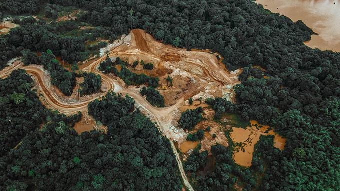 Foto2_deforestazione.jpg