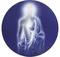 ASCETIC SIGN: le intelligenze dello spirito universale