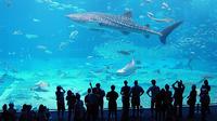 L’Acquario di Genova si regala una scenografia virtuale