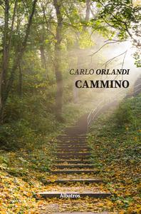 Il 'Cammino' di Carlo Orlandi