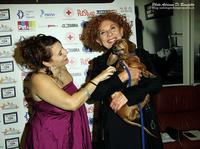 VI edizione del Pet Carpet Film Festival