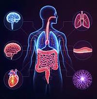 Sua Maestà il Microbiota