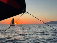 Regata_2.jpg